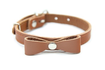 MATTEO Collar Plastic Buckle Boho, Pet collars and leashes